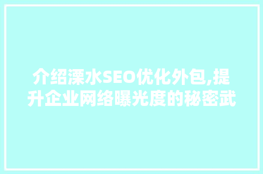 介绍溧水SEO优化外包,提升企业网络曝光度的秘密武器