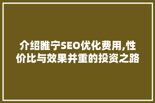 介绍睢宁SEO优化费用,性价比与效果并重的投资之路
