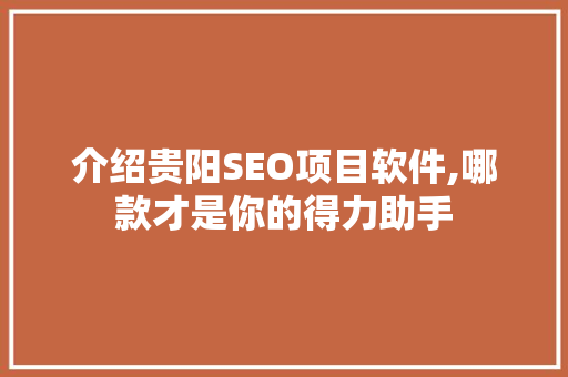 介绍贵阳SEO项目软件,哪款才是你的得力助手