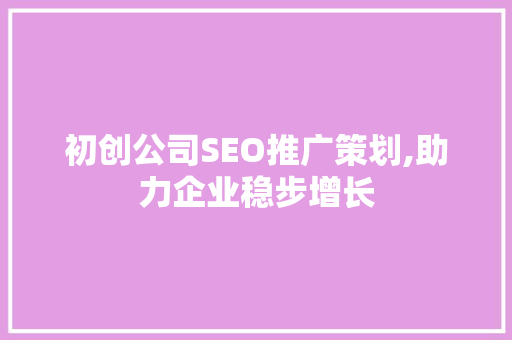 初创公司SEO推广策划,助力企业稳步增长