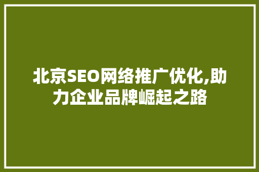 北京SEO网络推广优化,助力企业品牌崛起之路