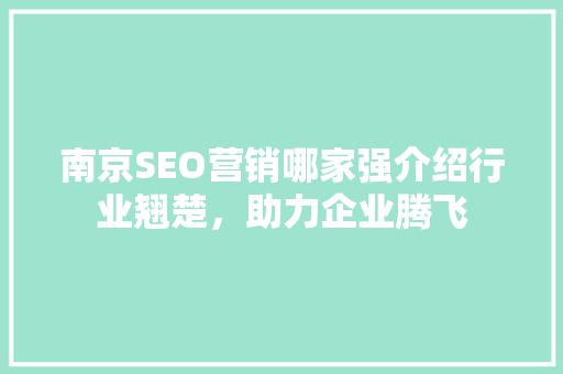 南京SEO营销哪家强介绍行业翘楚，助力企业腾飞