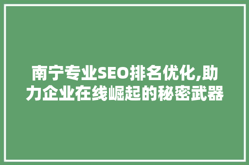 南宁专业SEO排名优化,助力企业在线崛起的秘密武器