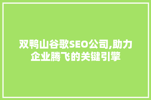 双鸭山谷歌SEO公司,助力企业腾飞的关键引擎