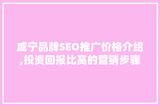 咸宁品牌SEO推广价格介绍,投资回报比高的营销步骤