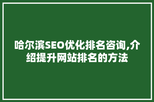 哈尔滨SEO优化排名咨询,介绍提升网站排名的方法