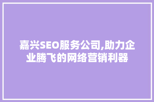 嘉兴SEO服务公司,助力企业腾飞的网络营销利器