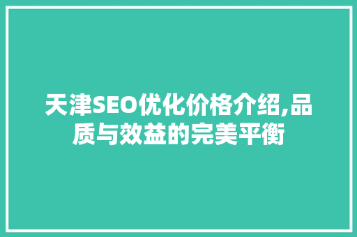 天津SEO优化价格介绍,品质与效益的完美平衡