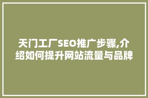 天门工厂SEO推广步骤,介绍如何提升网站流量与品牌知名度