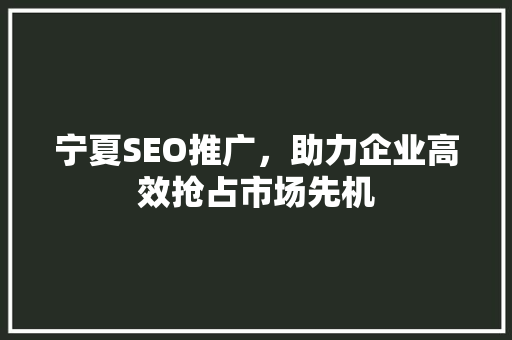 宁夏SEO推广，助力企业高效抢占市场先机