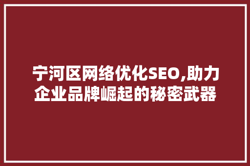 宁河区网络优化SEO,助力企业品牌崛起的秘密武器