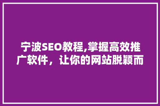 宁波SEO教程,掌握高效推广软件，让你的网站脱颖而出