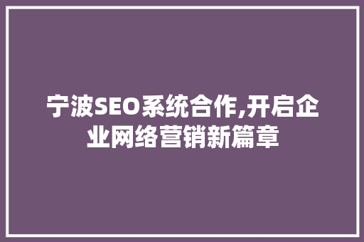 宁波SEO系统合作,开启企业网络营销新篇章