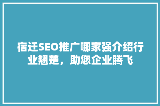 宿迁SEO推广哪家强介绍行业翘楚，助您企业腾飞