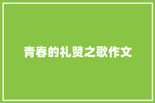 小程序SEO推广,介绍收费模式与专业公司选择