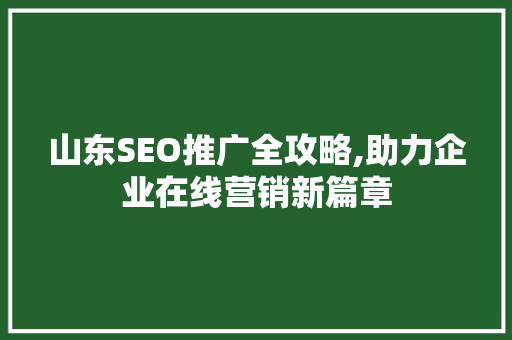 山东SEO推广全攻略,助力企业在线营销新篇章