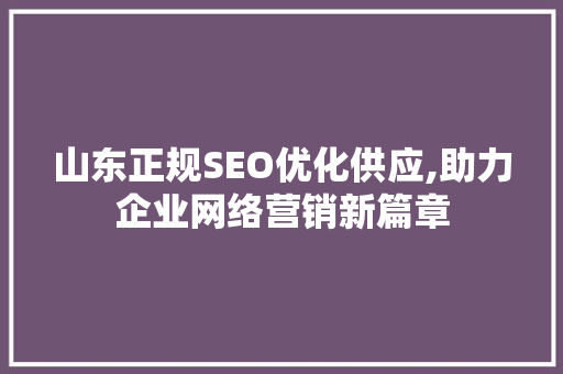 山东正规SEO优化供应,助力企业网络营销新篇章