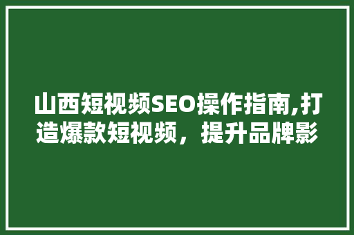 山西短视频SEO操作指南,打造爆款短视频，提升品牌影响力
