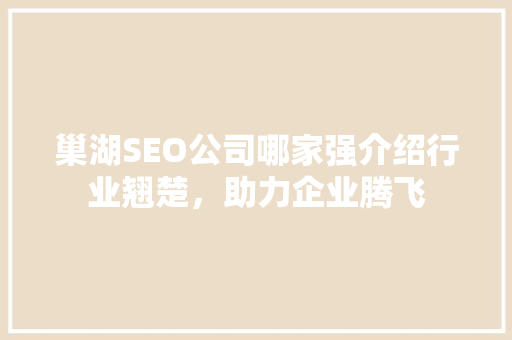 巢湖SEO公司哪家强介绍行业翘楚，助力企业腾飞