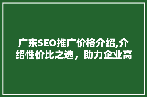 广东SEO推广价格介绍,介绍性价比之选，助力企业高效营销