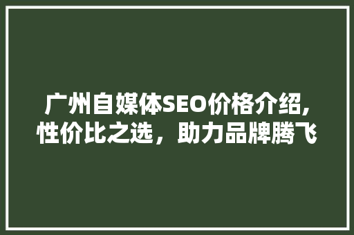 广州自媒体SEO价格介绍,性价比之选，助力品牌腾飞