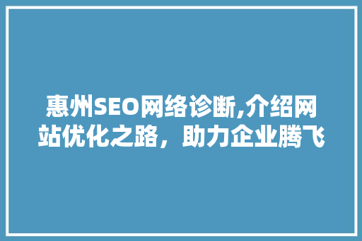 惠州SEO网络诊断,介绍网站优化之路，助力企业腾飞