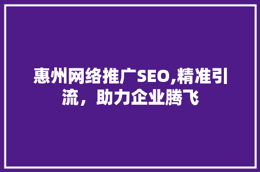 惠州网络推广SEO,精准引流，助力企业腾飞