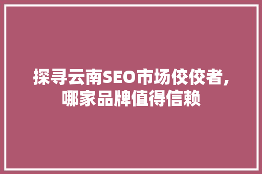 探寻云南SEO市场佼佼者,哪家品牌值得信赖