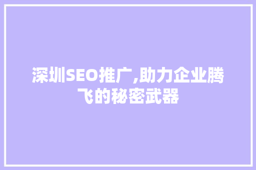 深圳SEO推广,助力企业腾飞的秘密武器