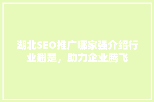 湖北SEO推广哪家强介绍行业翘楚，助力企业腾飞