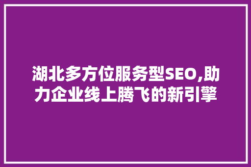 湖北多方位服务型SEO,助力企业线上腾飞的新引擎