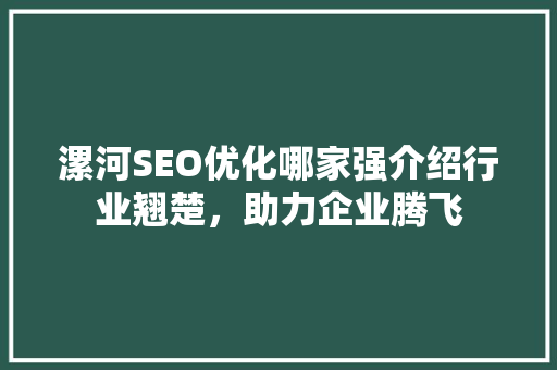 漯河SEO优化哪家强介绍行业翘楚，助力企业腾飞