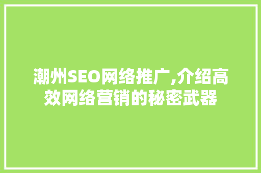 潮州SEO网络推广,介绍高效网络营销的秘密武器