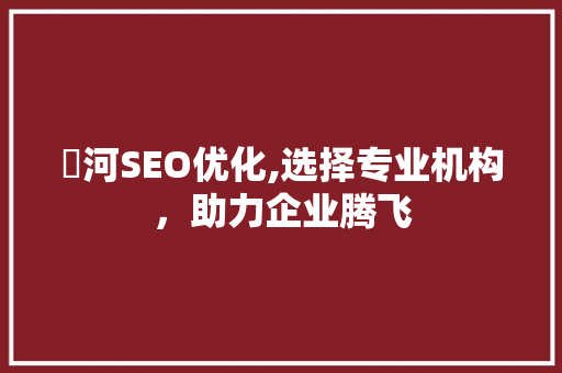 瀍河SEO优化,选择专业机构，助力企业腾飞