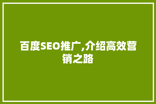百度SEO推广,介绍高效营销之路