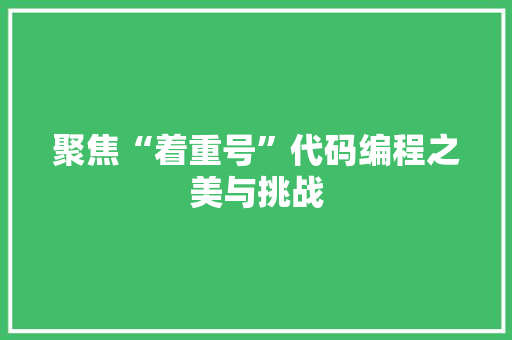 聚焦“着重号”代码编程之美与挑战