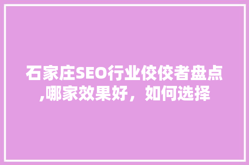 石家庄SEO行业佼佼者盘点,哪家效果好，如何选择