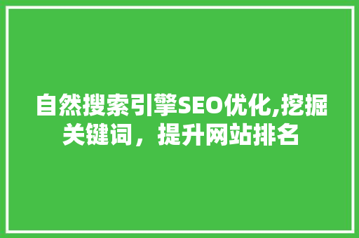 自然搜索引擎SEO优化,挖掘关键词，提升网站排名
