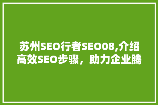 苏州SEO行者SEO08,介绍高效SEO步骤，助力企业腾飞