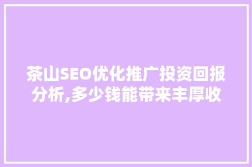 茶山SEO优化推广投资回报分析,多少钱能带来丰厚收益