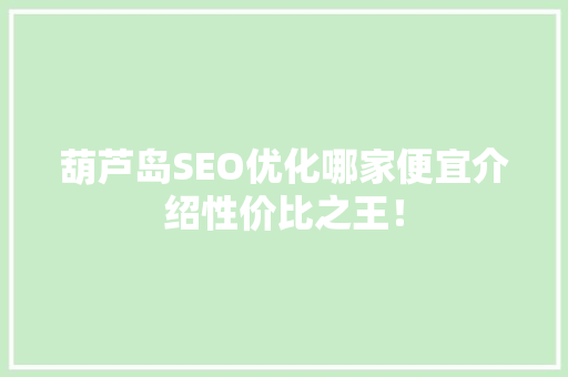 葫芦岛SEO优化哪家便宜介绍性价比之王！
