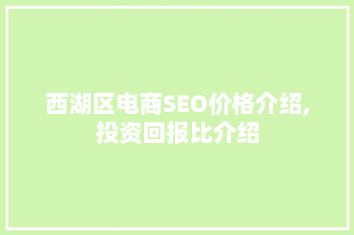 西湖区电商SEO价格介绍,投资回报比介绍