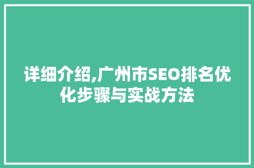 详细介绍,广州市SEO排名优化步骤与实战方法