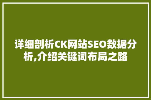 详细剖析CK网站SEO数据分析,介绍关键词布局之路