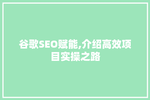 谷歌SEO赋能,介绍高效项目实操之路