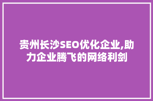 贵州长沙SEO优化企业,助力企业腾飞的网络利剑