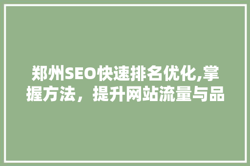 郑州SEO快速排名优化,掌握方法，提升网站流量与品牌影响力
