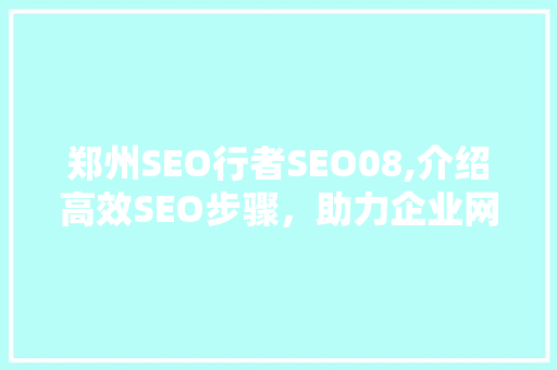 郑州SEO行者SEO08,介绍高效SEO步骤，助力企业网络营销腾飞