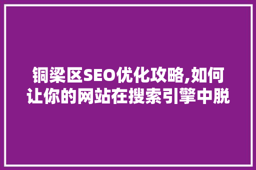 铜梁区SEO优化攻略,如何让你的网站在搜索引擎中脱颖而出