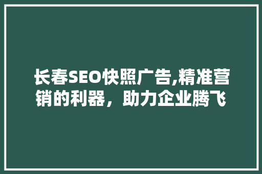 长春SEO快照广告,精准营销的利器，助力企业腾飞